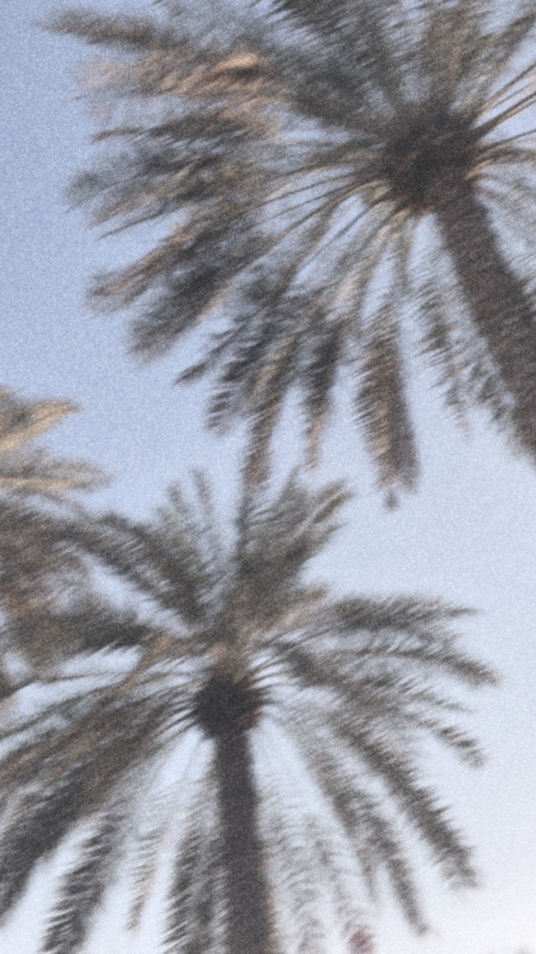 Dates