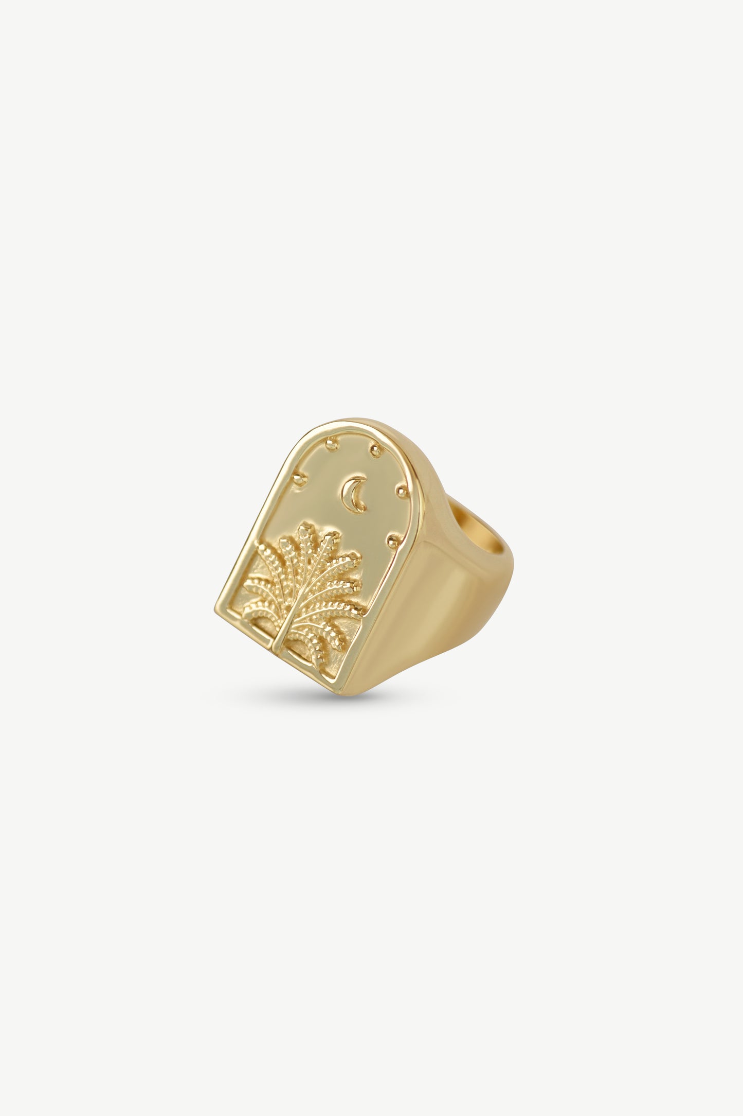 Arch Palm Tree Signet Ring